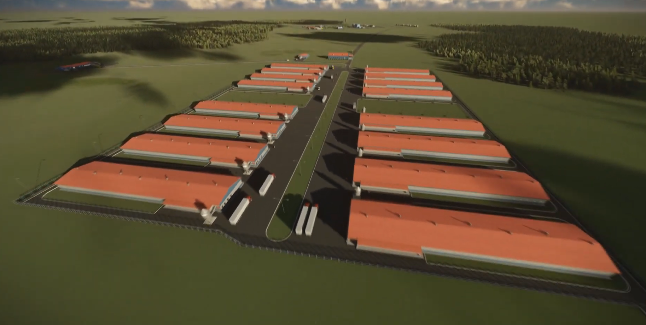 Poultry Farm Design: How to Avoid Critical Mistakes and Build a Profitable Business