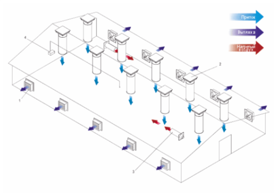 Poultry Farm Design: How to Avoid Critical Mistakes and Build a Profitable Business